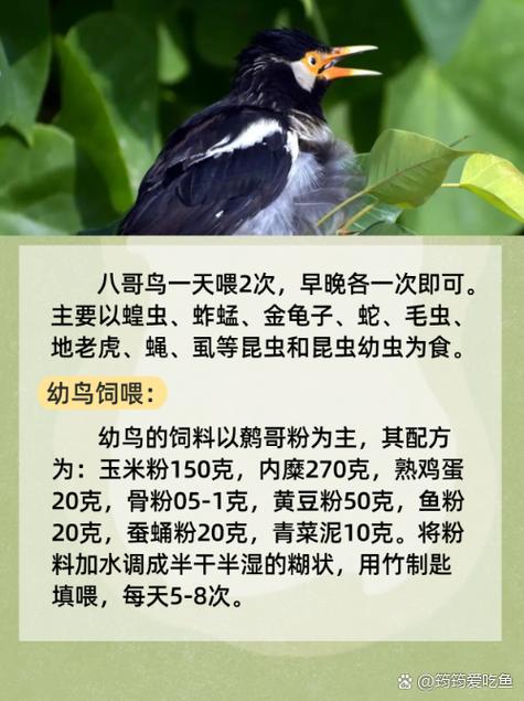 街头搭讪人妻一区二区的相关介绍