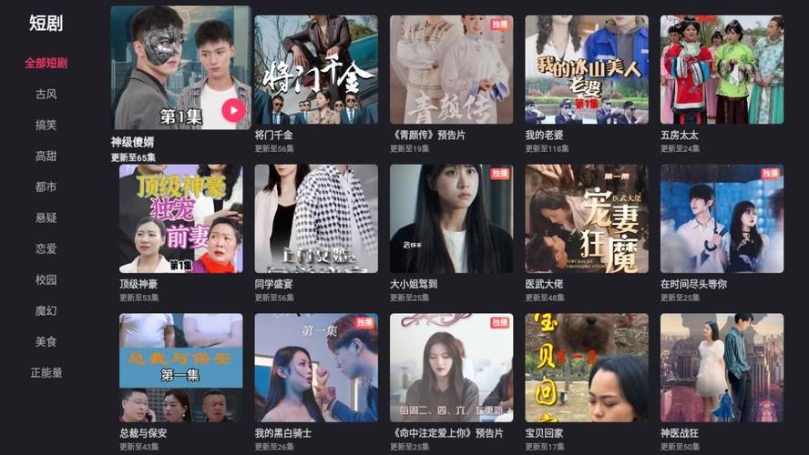 有码人妻的相关介绍