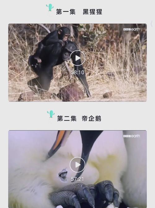 av里面的女的为什么要剃毛的相关介绍