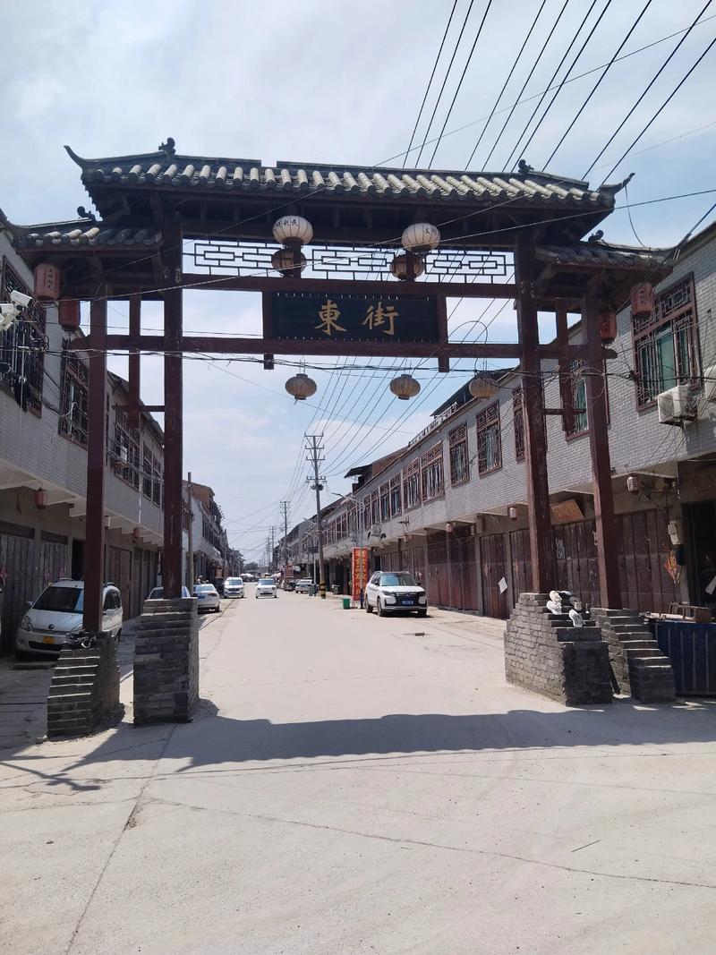 欧美一级片一区二区的相关介绍