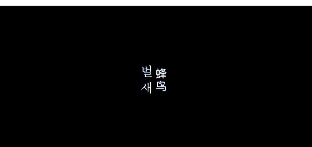 星光影院网在线观看的相关介绍