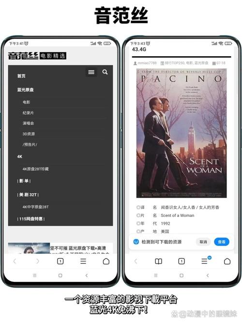 av色区久久的相关介绍