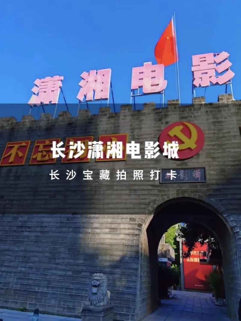 精品久久久久久毛片的相关介绍