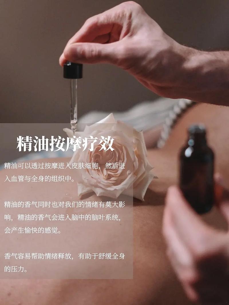 被窝电影院的相关介绍