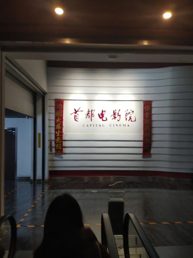 女秘书完整的相关介绍