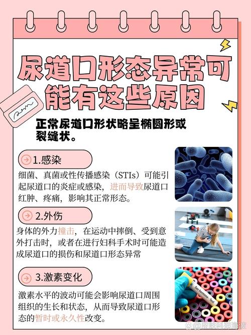 欧美成人看片一区二区的相关介绍