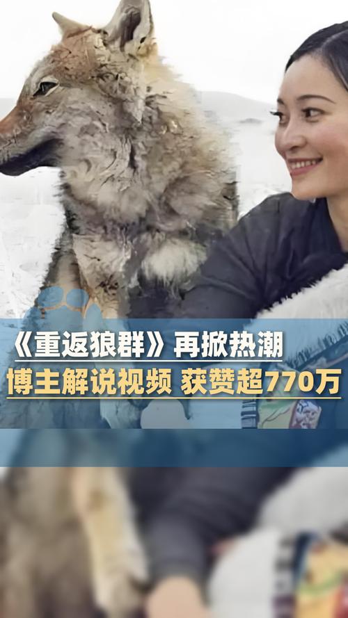 处女们淫秽的束缚的相关介绍
