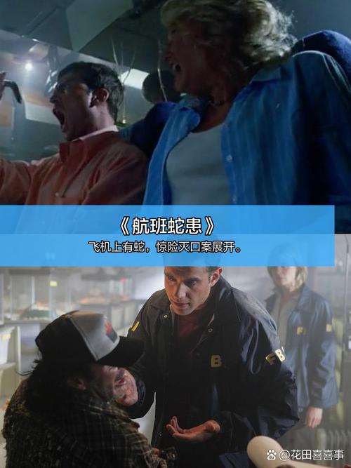 最近电影院上映的电影的相关介绍