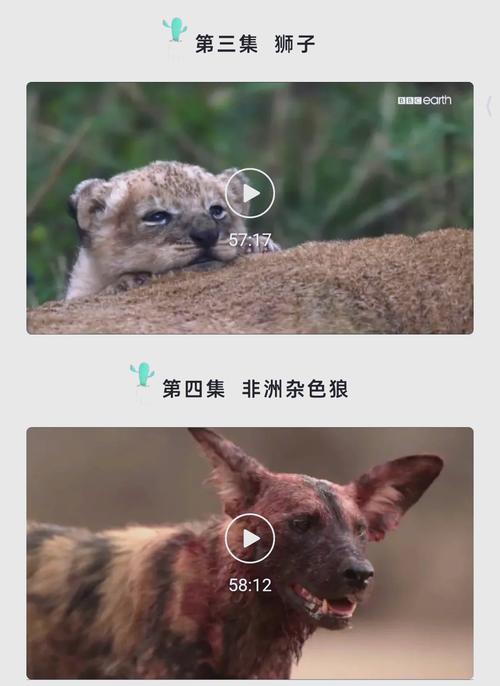 精品色国产的相关介绍