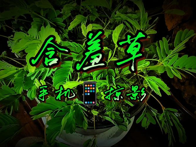 家庭影院设计与装修的相关介绍