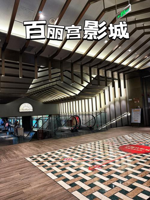 18禁免费视频网站在线看的相关介绍