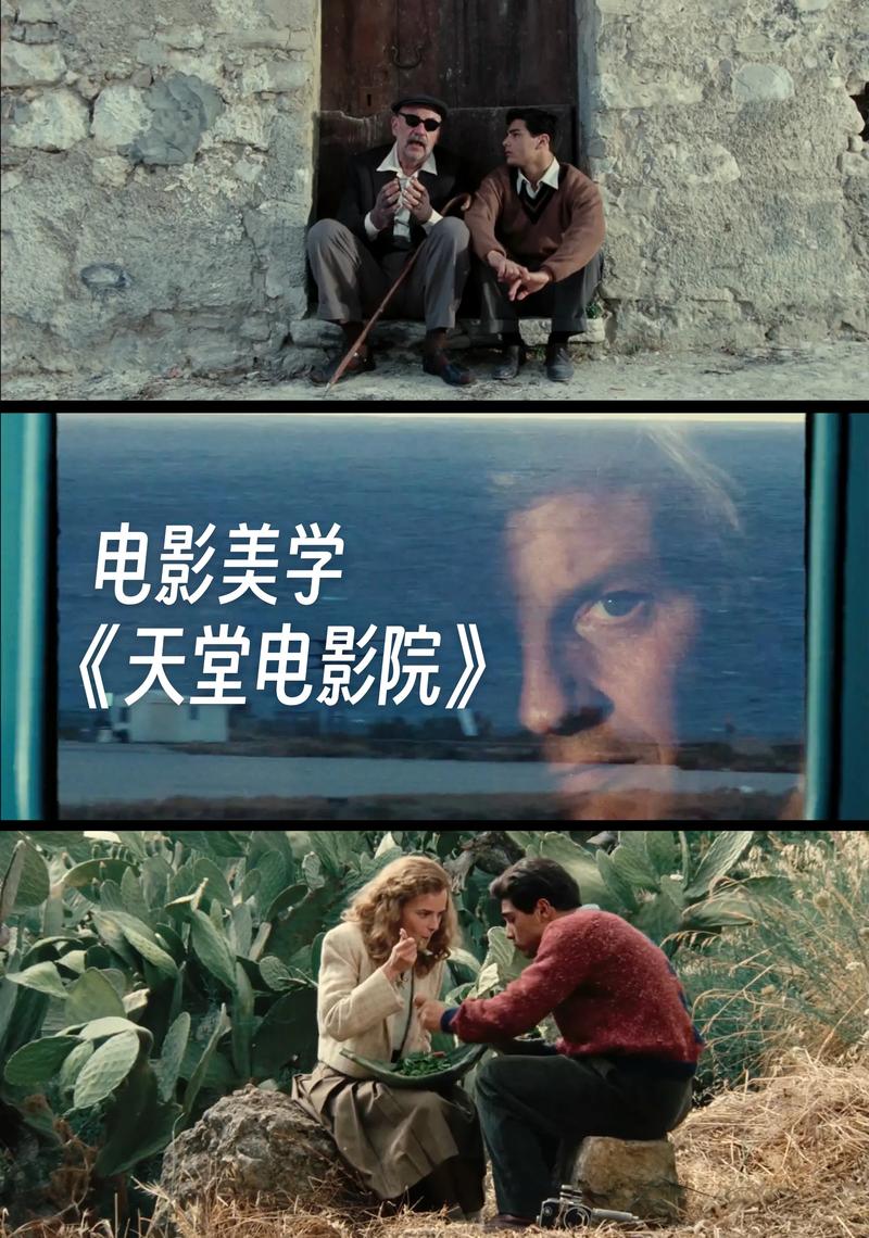 王馨瑶大尺度性感写真的相关介绍