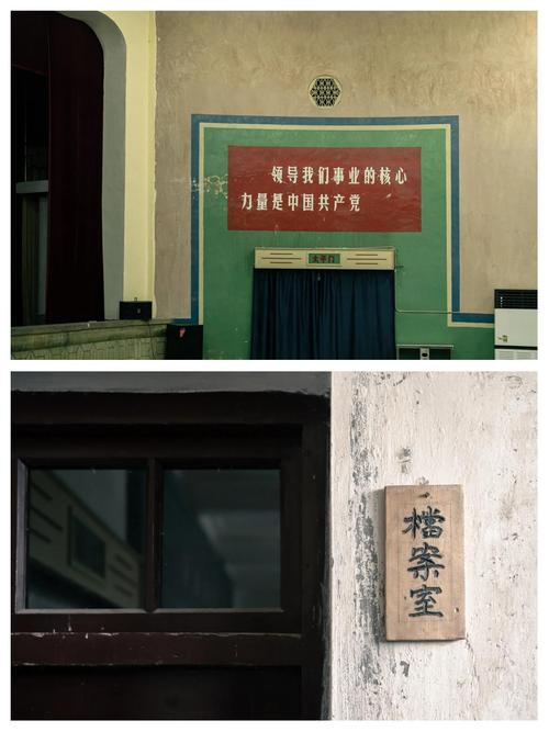 99这里有精品久久久的相关介绍