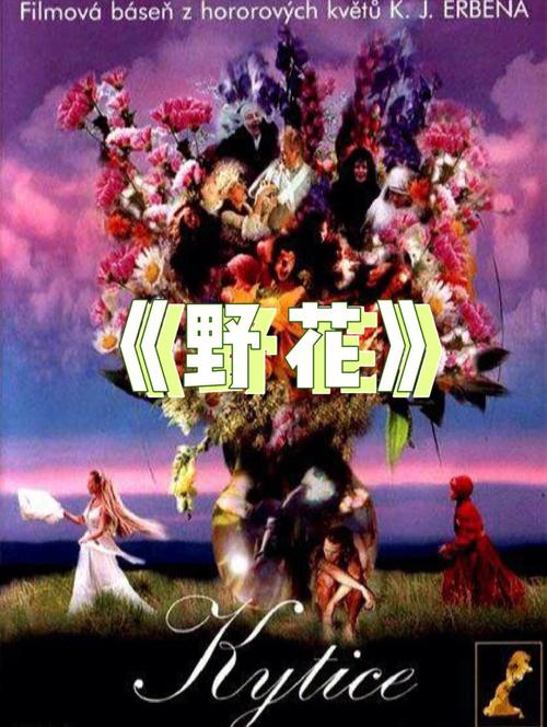 色悠悠撸网站的相关介绍