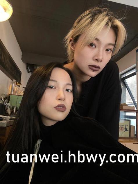 网袜av在线的相关介绍