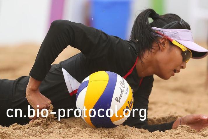 美女老师隐私操的相关介绍