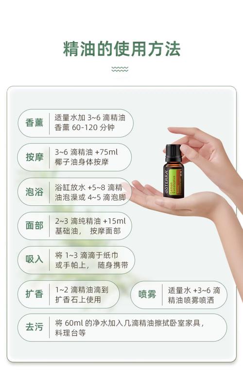久久激情东京热的相关介绍