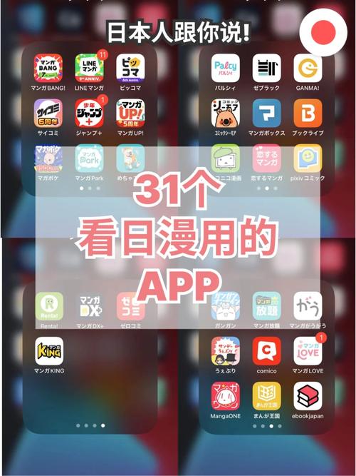 征服少妇人妻的相关介绍