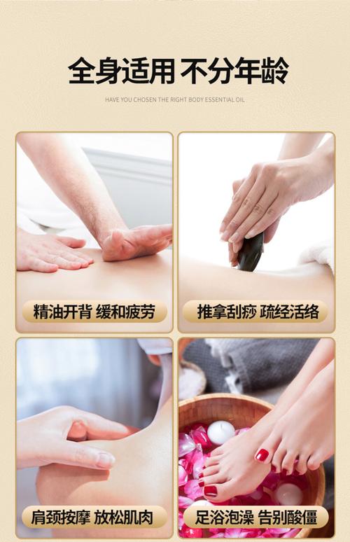操了警花的相关介绍