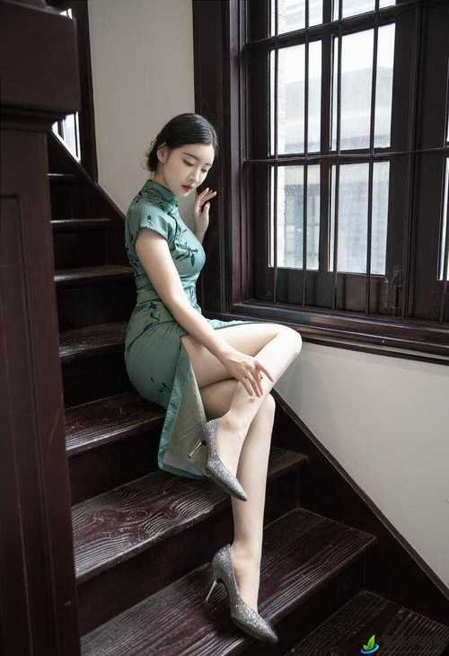 成人不卡毛片的相关介绍