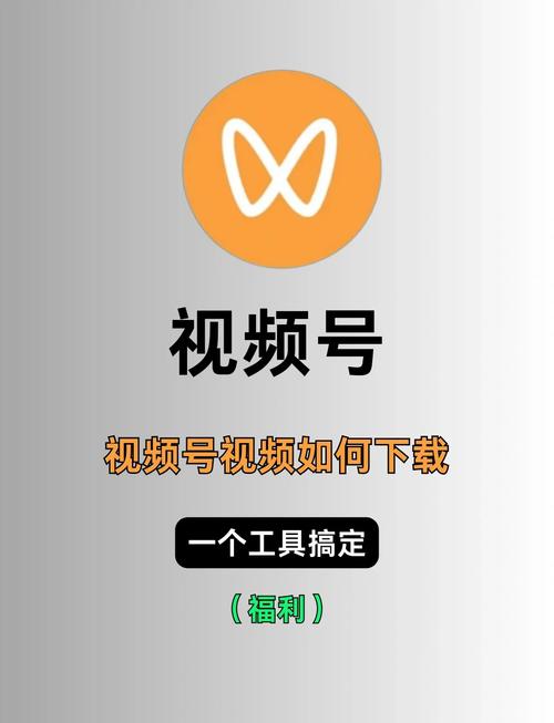 大陆特色毛片的相关介绍