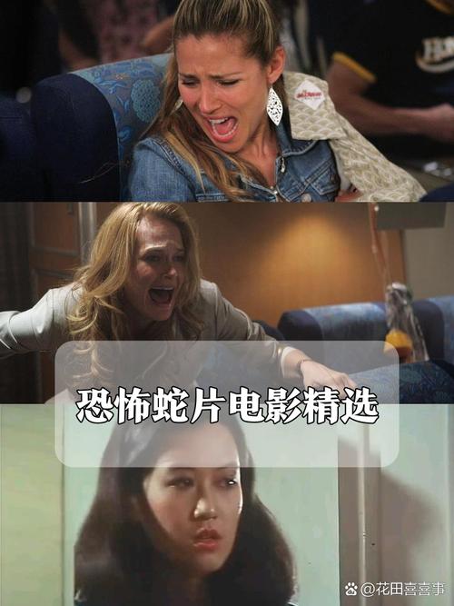 悠悠影院的相关介绍