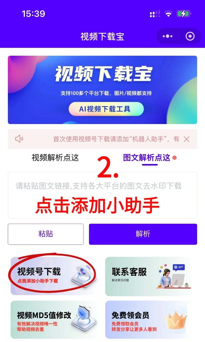 欧美成人国产在线观看的相关介绍