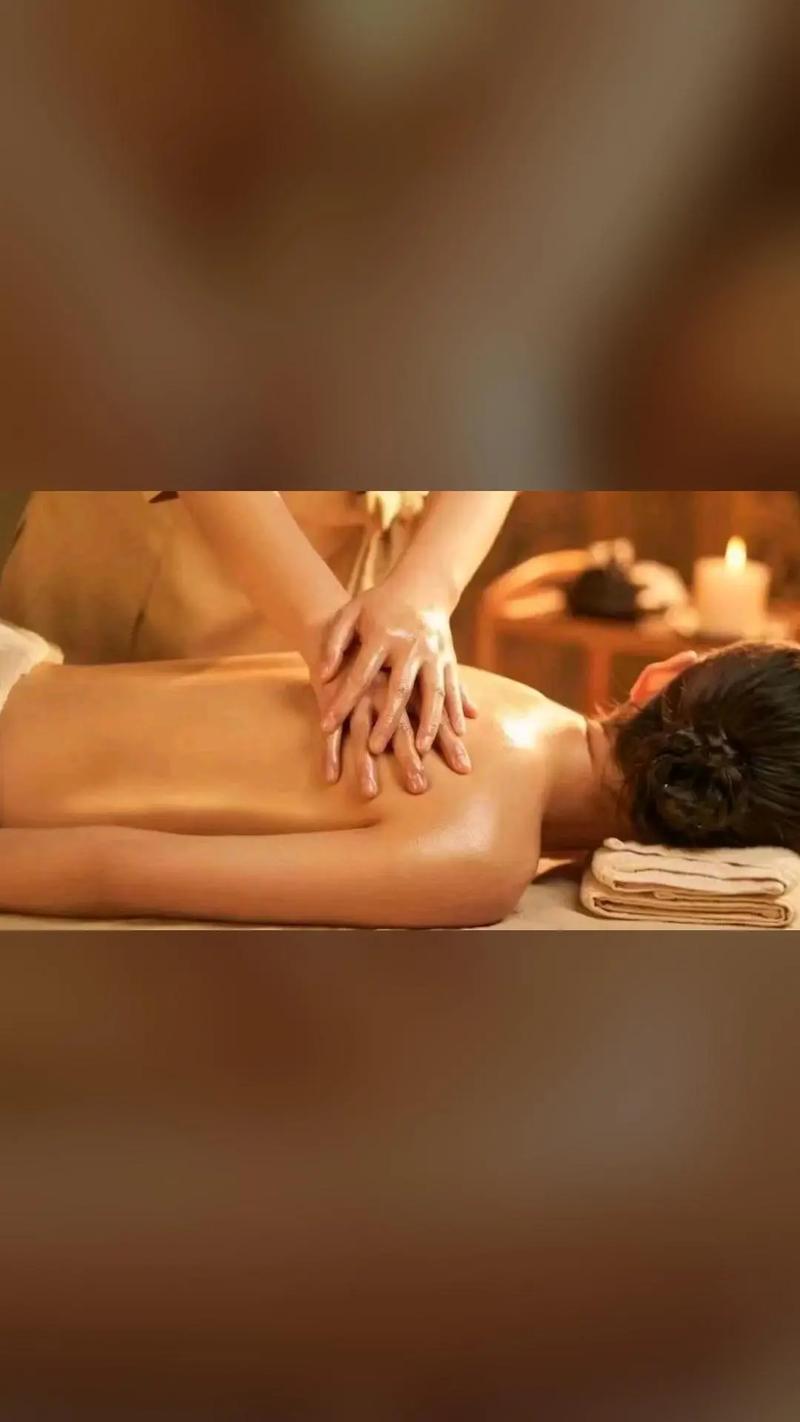 男女动漫免费的相关介绍
