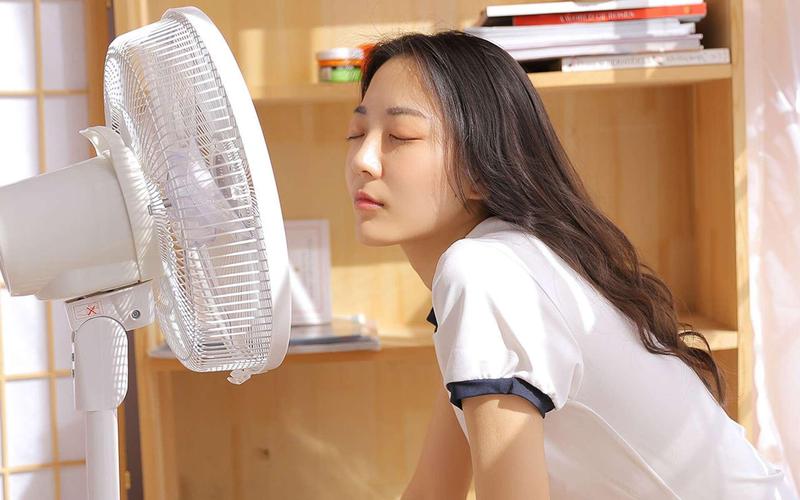 人妻激情啪啪的相关介绍