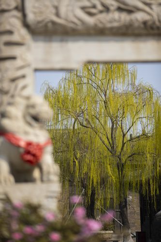亚洲av男人天堂久久久的相关介绍