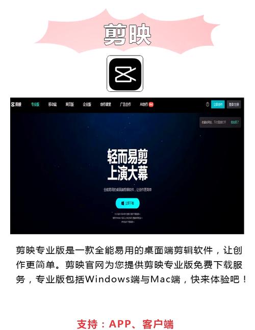 色播成人影院的相关介绍