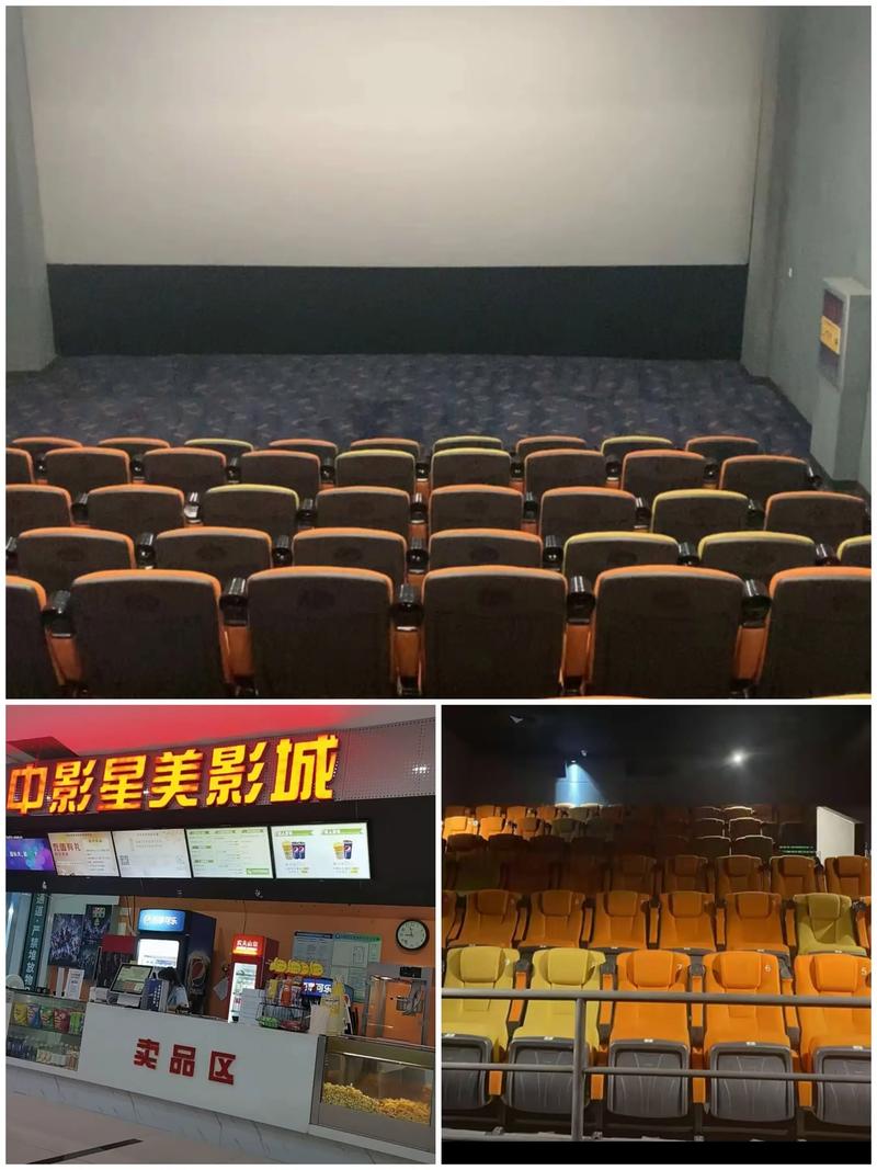 欧美不卡一区二区在线的相关介绍