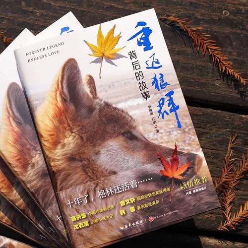 爱啪啪人妻网的相关介绍