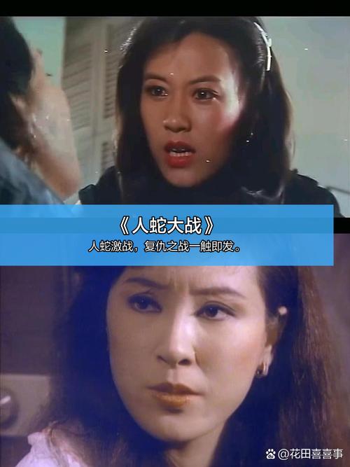 华人影院的相关介绍
