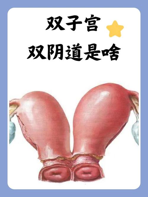 福音影院基督教影视网的相关介绍