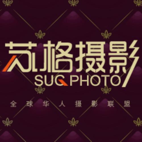 美女白浆好爽的相关介绍