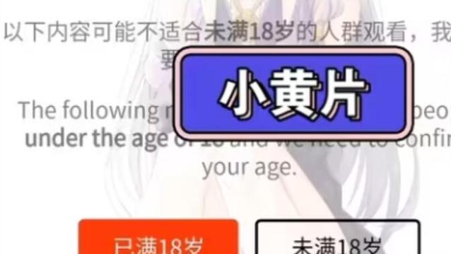 根据您的要求，生成一个SEO标题如下：

**十八岁禁止在线观看视频：未成年人防沉迷系统与家长监护指南**

*包含长尾关键词：未成年人防沉迷系统、家长监护指南、青少年健康上网*