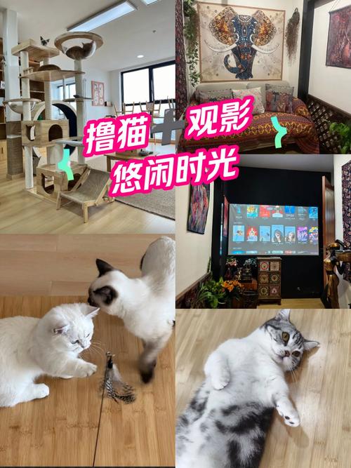 5d动感影院设备的相关介绍