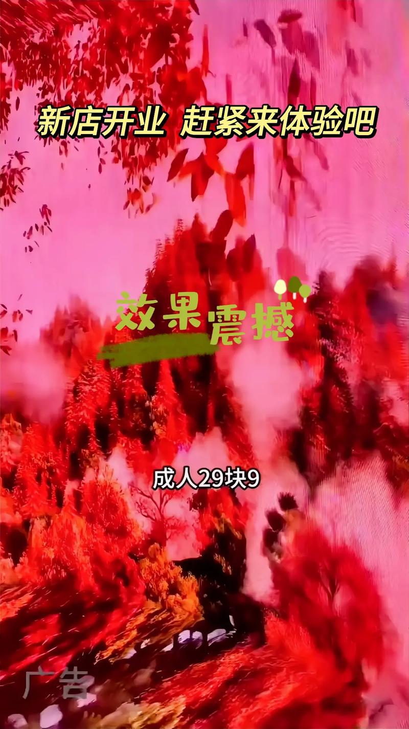 天狼影院2017手机观看轻佻寡妇的相关介绍