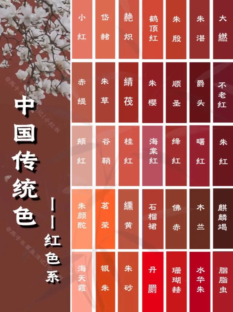 山外人精品影院的相关介绍