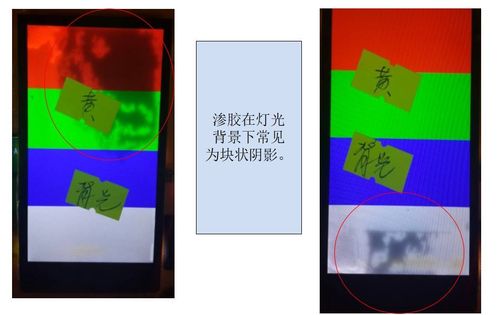 动漫男女啪啪啪的相关介绍