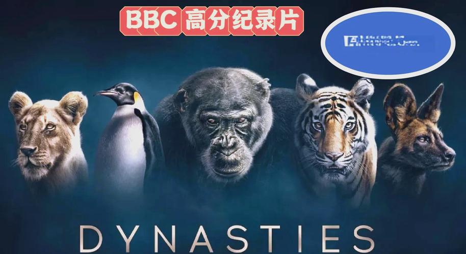 操少妇出白浆视频的相关介绍