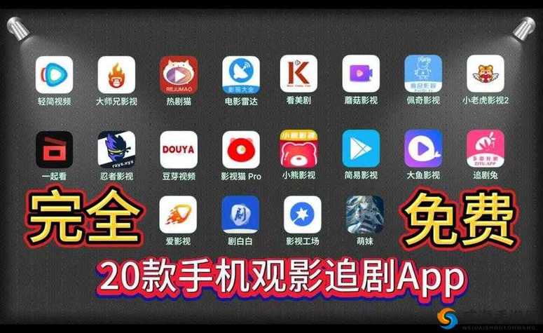 欧美老熟妇免费的相关介绍