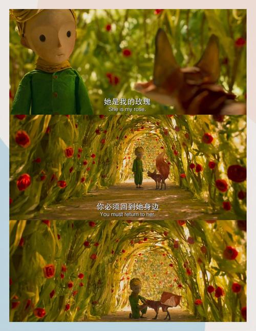 欧美老熟妇免费的相关介绍