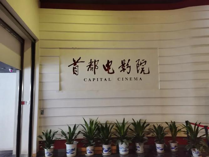 意大利 伦理片的相关介绍