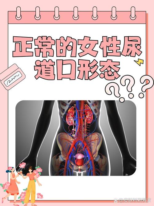 女人性做爰100部免费看的相关介绍