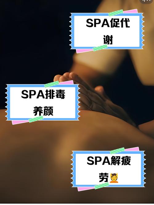 宅宅网2018理论神马影院的相关介绍