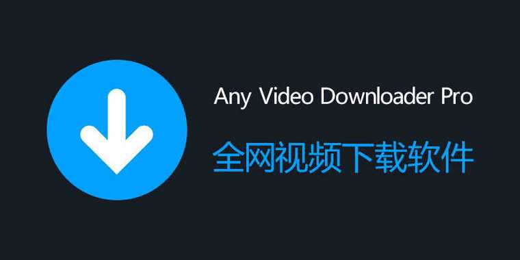 (高h)调教的相关介绍