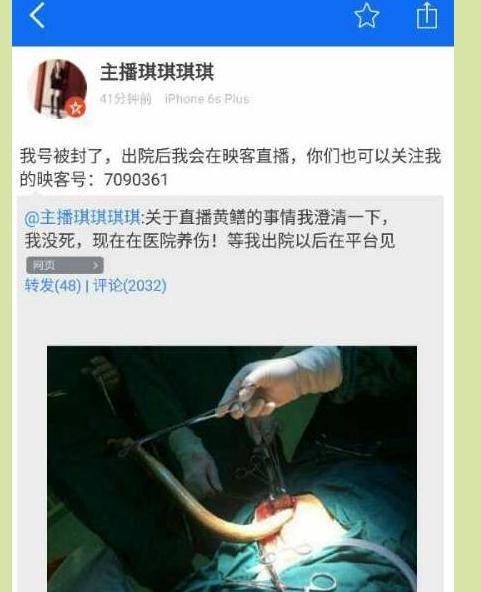 片吧影院的相关介绍