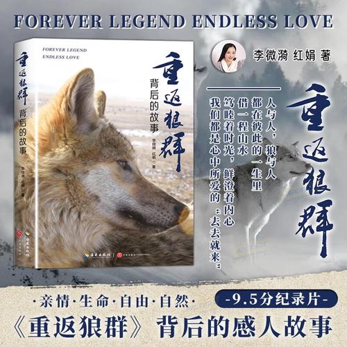 星星影院的相关介绍